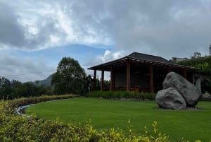 Bali: Mount Batur Sunset Trek with Picnic