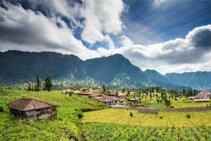 Från Bali: 3-dagarstur till Mount Bromo och Ijenkratern med blå eld