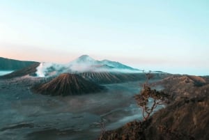 Bali: Mount Bromo and Kawah Ijen 3-Day Volcanic Trip