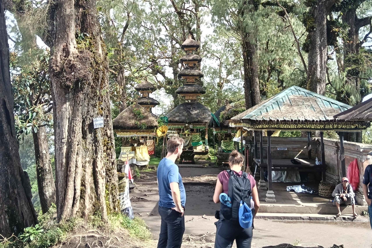 Bali: Mount Catur Trek from Pelaga and finish at Bedugul