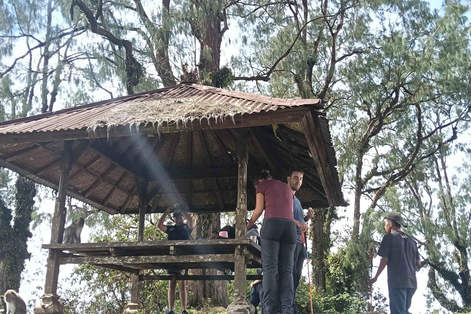 Bali: Mount Catur Trek from Pelaga and finish at Bedugul