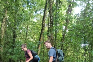 Bali: Mount Catur Trek from Pelaga and finish at Bedugul