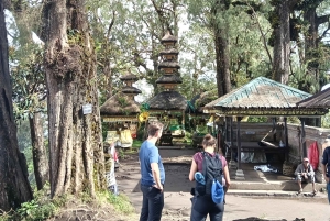 Bali: Mount Catur Trek from Pelaga and finish at Bedugul
