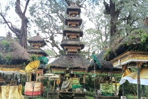 Bali: Mount Catur Trek from Pelaga and finish at Bedugul