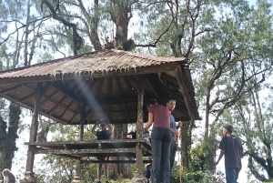 Bali: Mount Catur Trek from Pelaga and finish at Bedugul