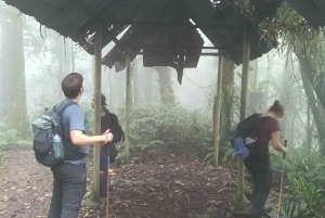 Bali: Mount Catur Trek from Pelaga and finish at Bedugul
