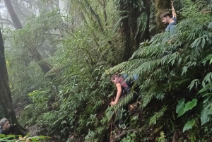 Bali: Mount Catur Trek from Pelaga and finish at Bedugul