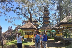 Bali: Mount Catur Trek from Pelaga and finish at Bedugul