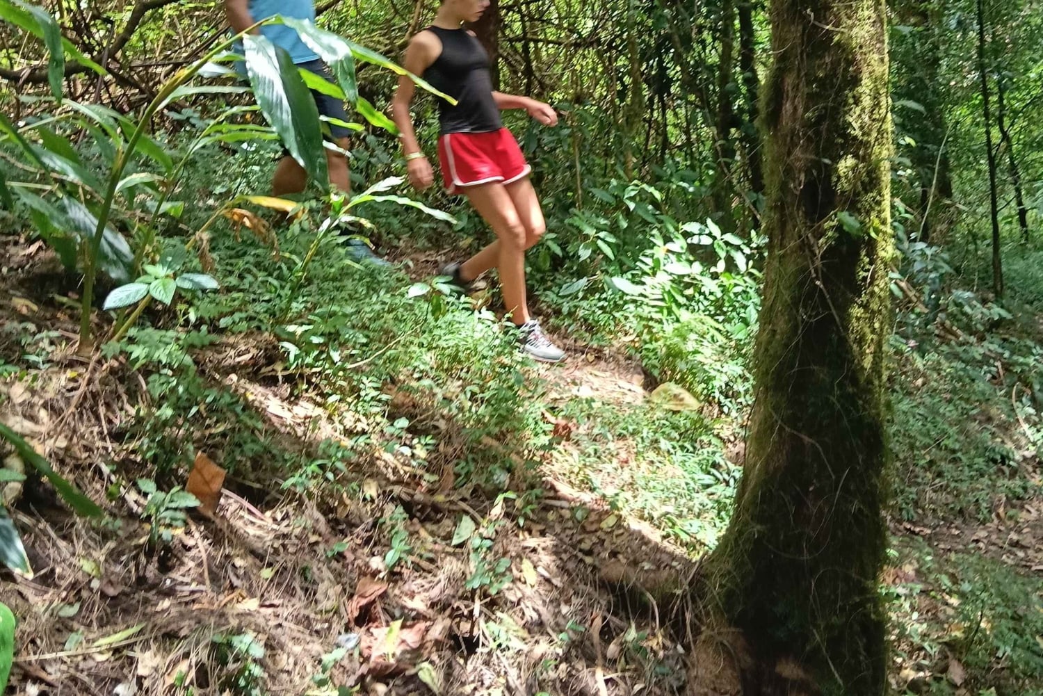 Bali: Mount Lesung Climb & Tamblingan Jungle Trekking Tour