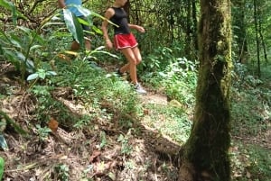 Bali: Mount Lesung Climb & Tamblingan Jungle Trekking Tour