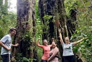 Bali: Mount Lesung Climb & Tamblingan Jungle Trekking Tour