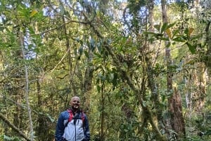 Bali: Mount Lesung Climb & Tamblingan Jungle Trekking Tour