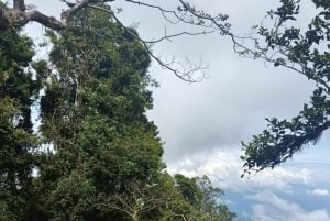 Bali: Mount Lesung Climb & Tamblingan Jungle Trekking Tour
