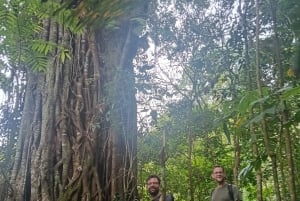 Bali: Mount Lesung Climb & Tamblingan Jungle Trekking Tour