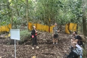 Bali: Mount Lesung Climb & Tamblingan Jungle Trekking Tour