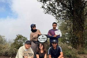 Bali: Lovina Sonnenaufgang Delfinbeobachtung und Schnorcheltour