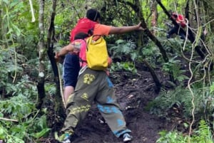 Bali: Lovina Sonnenaufgang Delfinbeobachtung und Schnorcheltour
