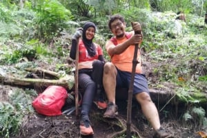 Bali: Lovina Sonnenaufgang Delfinbeobachtung und Schnorcheltour
