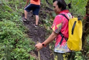 Bali: Lovina Sonnenaufgang Delfinbeobachtung und Schnorcheltour