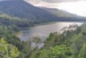 Bali: Lovina Sonnenaufgang Delfinbeobachtung und Schnorcheltour