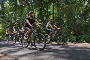 Bali: Mountain Bike Tour and River Rafting with Lunch