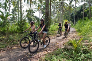 Bali: Mountain Bike Tour and River Rafting with Lunch