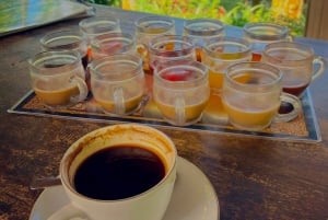 Bali: Mount Batur Sonnenaufgangswanderung mit Frühstück und heißen Quellen