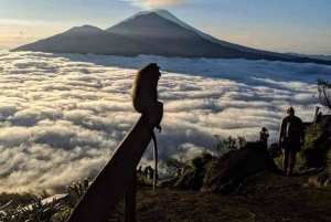 Bali : Randonnée au lever du soleil sur le Mont Batur avec petit-déjeuner et sources d'eau chaude