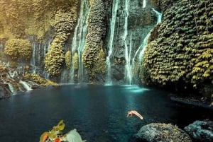 Bali/Munduk : Entdecke drei verschiedene versteckte Wasserfälle
