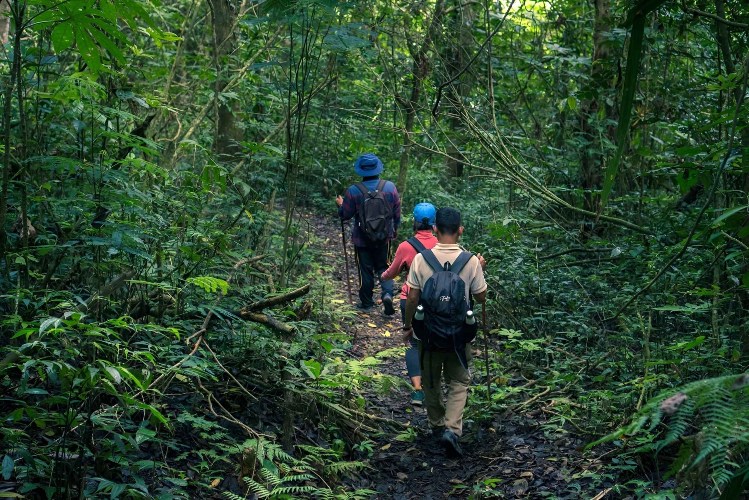 Bali-Munduk: Jungle Trek, Canoe & Bamboo Weaving Class