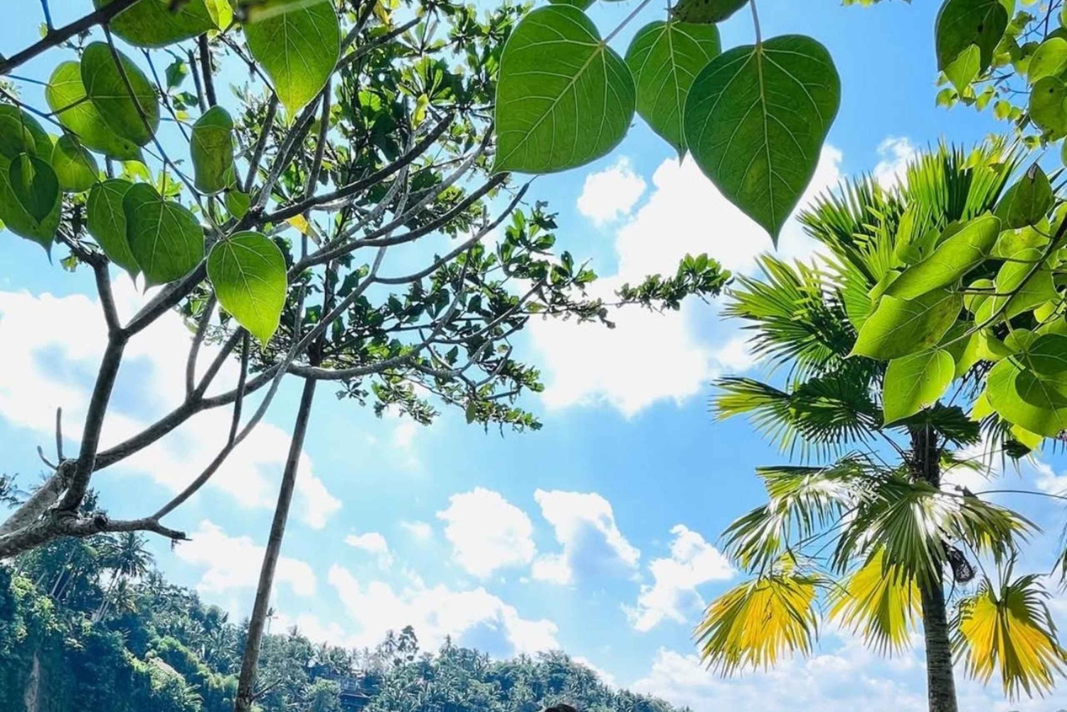 Bali: MySwing and ATV Adventure at Pioner Bali