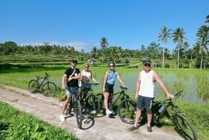 Bali Natural Downhill Cycling Tour and visit Batur Volcano