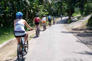 Bali Natural Downhill Cycling Tour and visit Batur Volcano