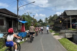 Bali Natural Downhill Cycling Tour and visit Batur Volcano