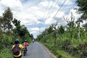 Bali Natural Downhill Cycling Tour and visit Batur Volcano