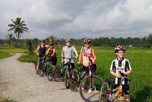 Bali Natural Downhill Cycling Tour and visit Batur Volcano