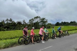 Bali Natural Downhill Cycling Tour and visit Batur Volcano