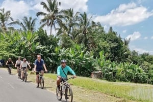 Bali Natural Downhill Cycling Tour and visit Batur Volcano
