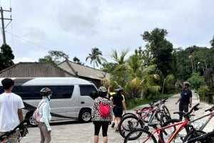 Bali Natural Downhill Cycling Tour and visit Batur Volcano