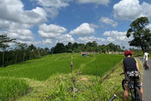 Bali Natural Downhill Cycling Tour and visit Batur Volcano