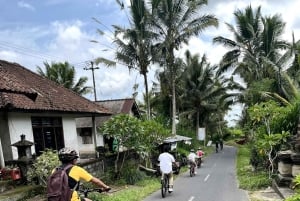 Bali Natural Downhill Cycling Tour and visit Batur Volcano
