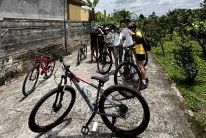 Bali Natural Downhill Cycling Tour and visit Batur Volcano