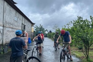 Bali Natural Downhill Cycling Tour and visit Batur Volcano