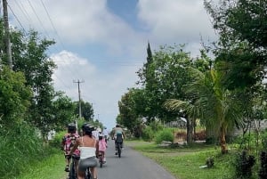 Bali Natural Downhill Cycling Tour and visit Batur Volcano