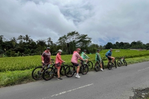 Bali Natural Downhill Cycling Tour and visit Batur Volcano