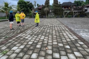 Bali Natural Downhill Cycling Tour and visit Batur Volcano