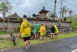 Bali Natural Downhill Cycling Tour and visit Batur Volcano