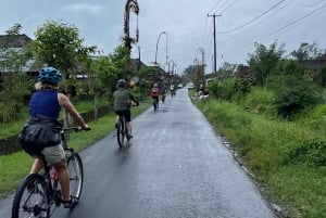 Bali Natural Downhill Cycling Tour and visit Batur Volcano