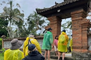 Bali Natural Downhill Cycling Tour and visit Batur Volcano