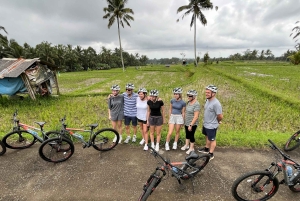 Bali Natural Downhill Cycling Tour and visit Batur Volcano